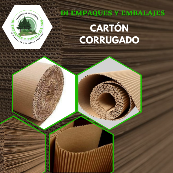 carton corrugado 4